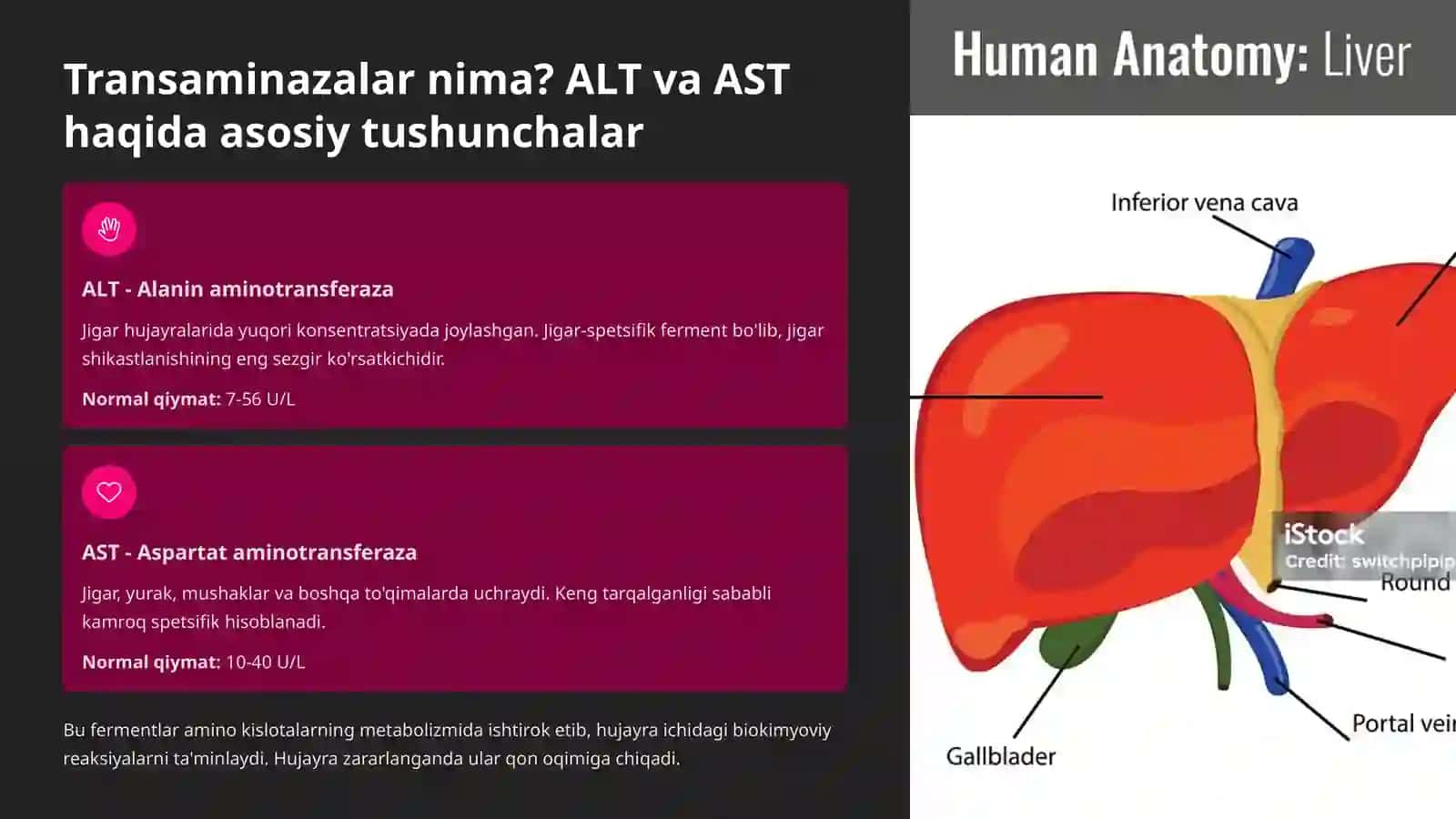 Transaminazalarni klinik ahamiyati: Diagnostikavamonitoring 3