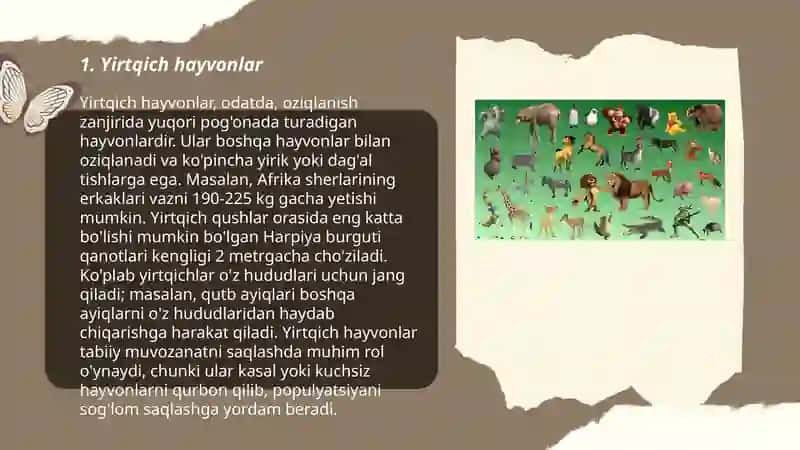 Yirtqich hayvonlar 3