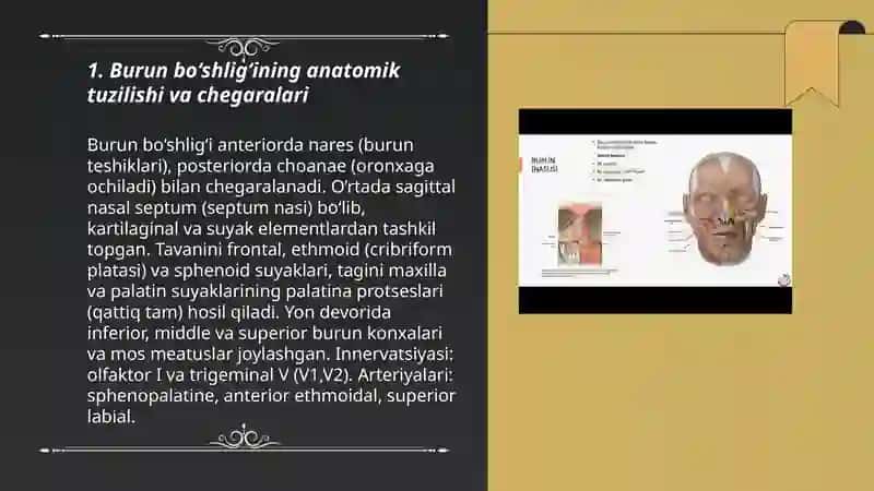 Burun bo‘shlig‘i 3