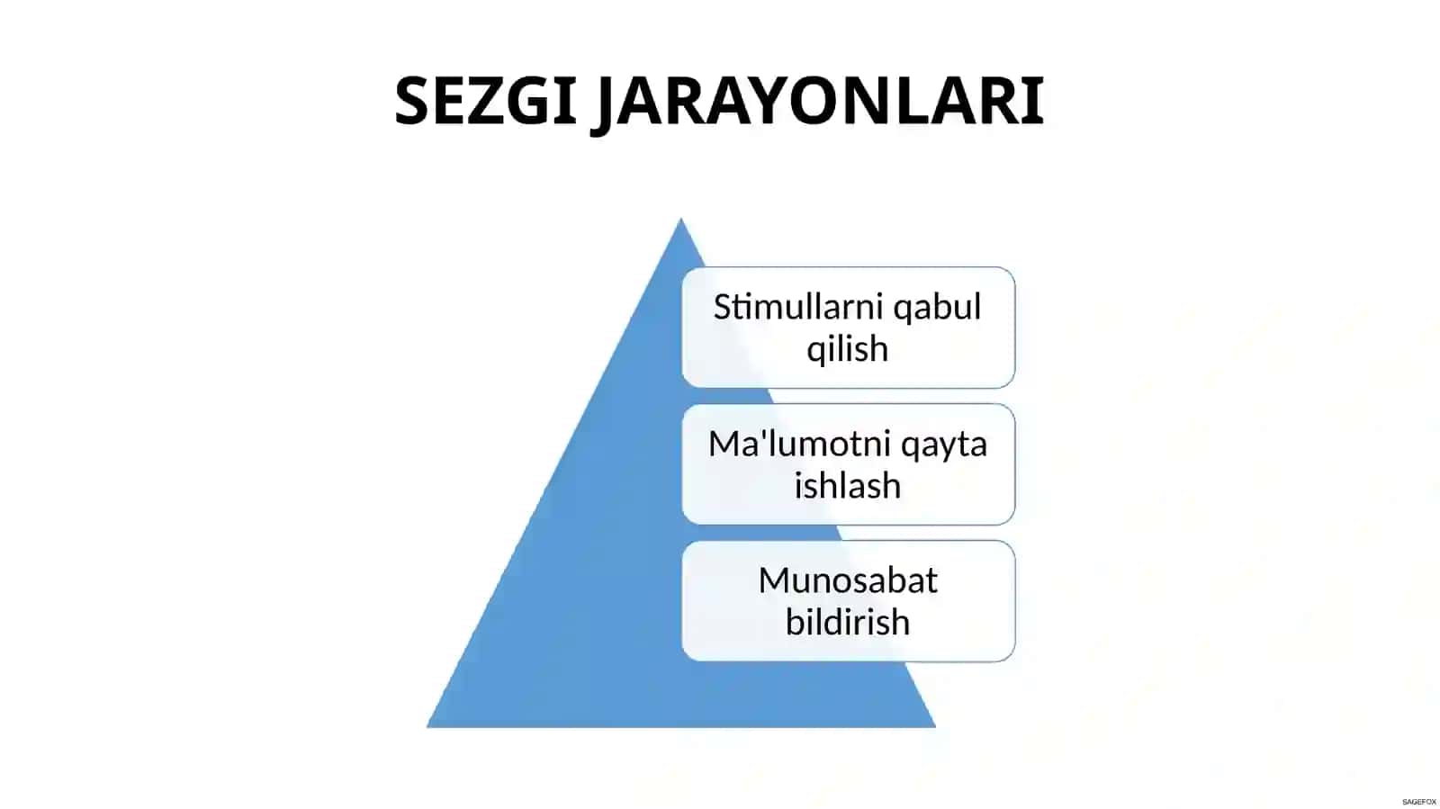 SEZGI 3
