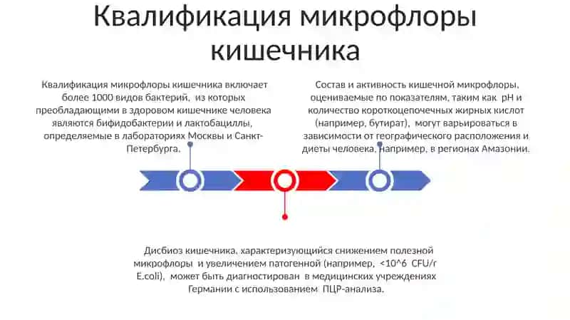 Система пищеварения 3