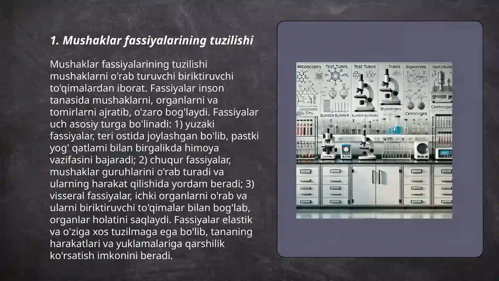 Mushaklar fassiyalari 3
