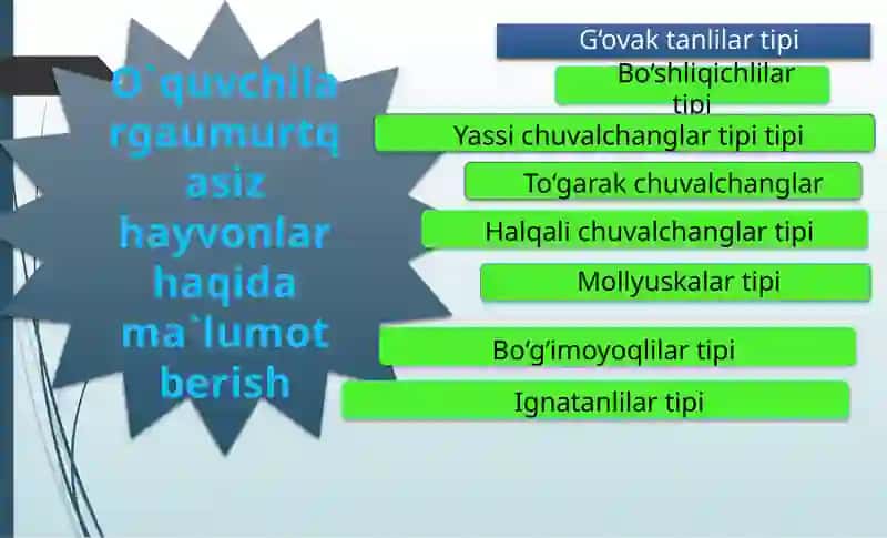 Umurtqasizhayvonlarningxilma-xilligi 3