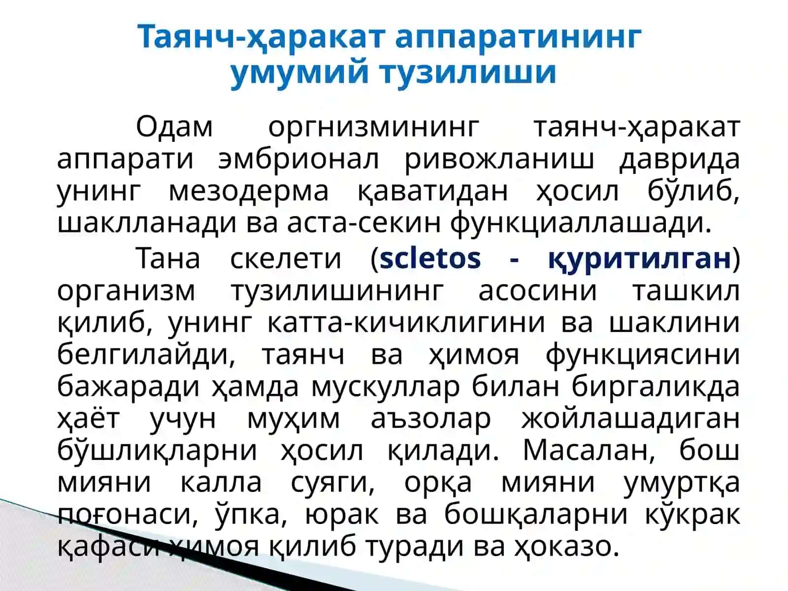 Таянч-ҳаракат тизимининг тузилиши ва аҳамияти 3