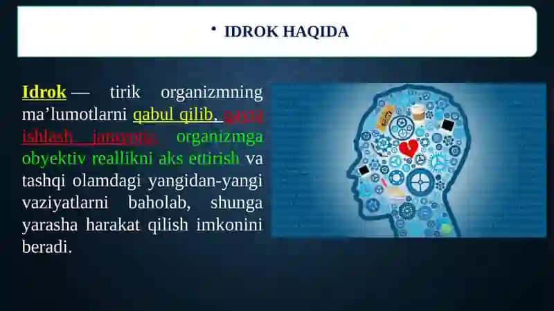 BILISH JARAYONLARI (idrok va xotira) 3