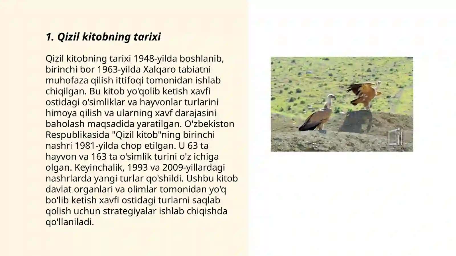 Qizil kitob 3