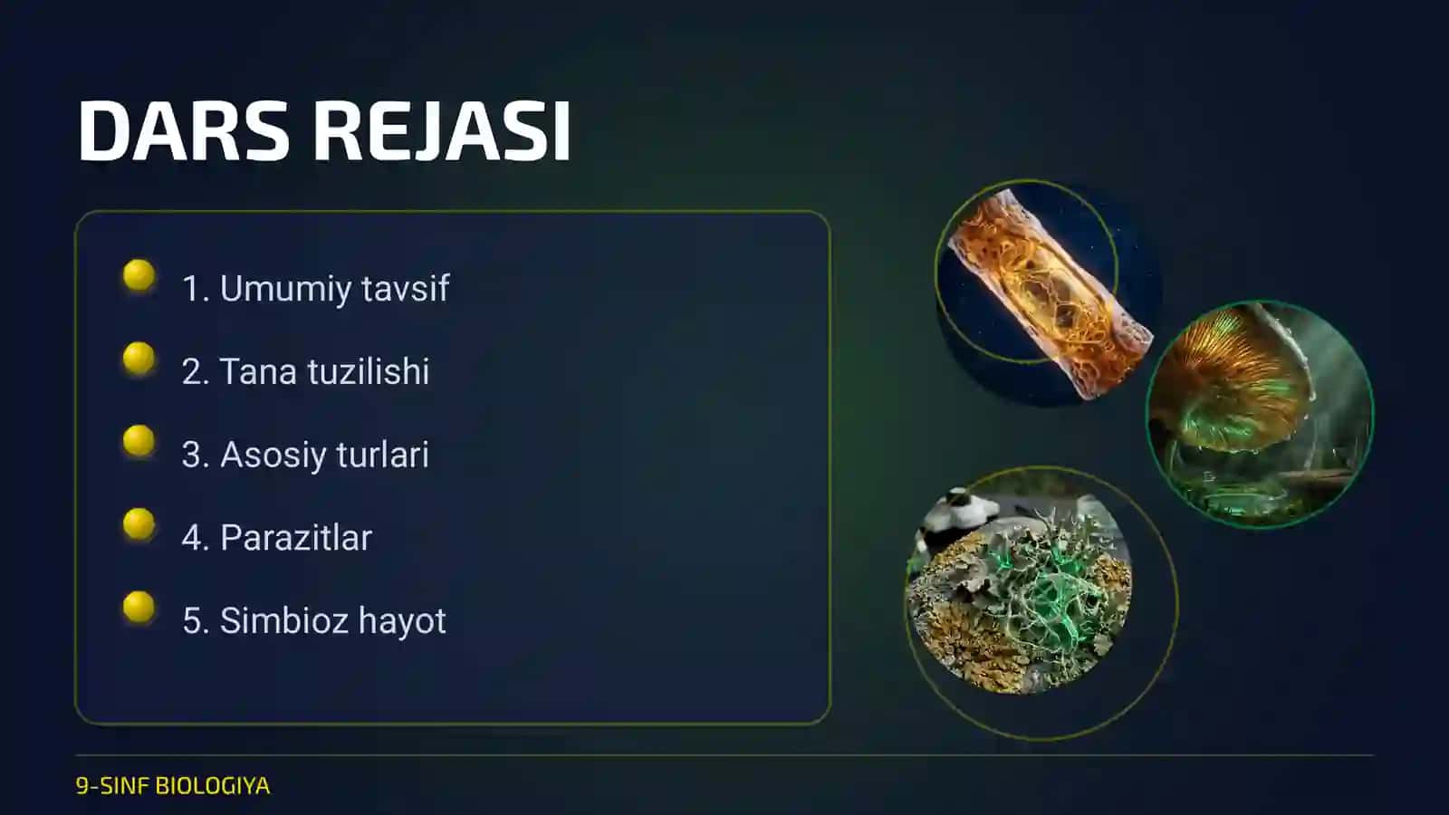 Zamburug‘lar dunyosi 3