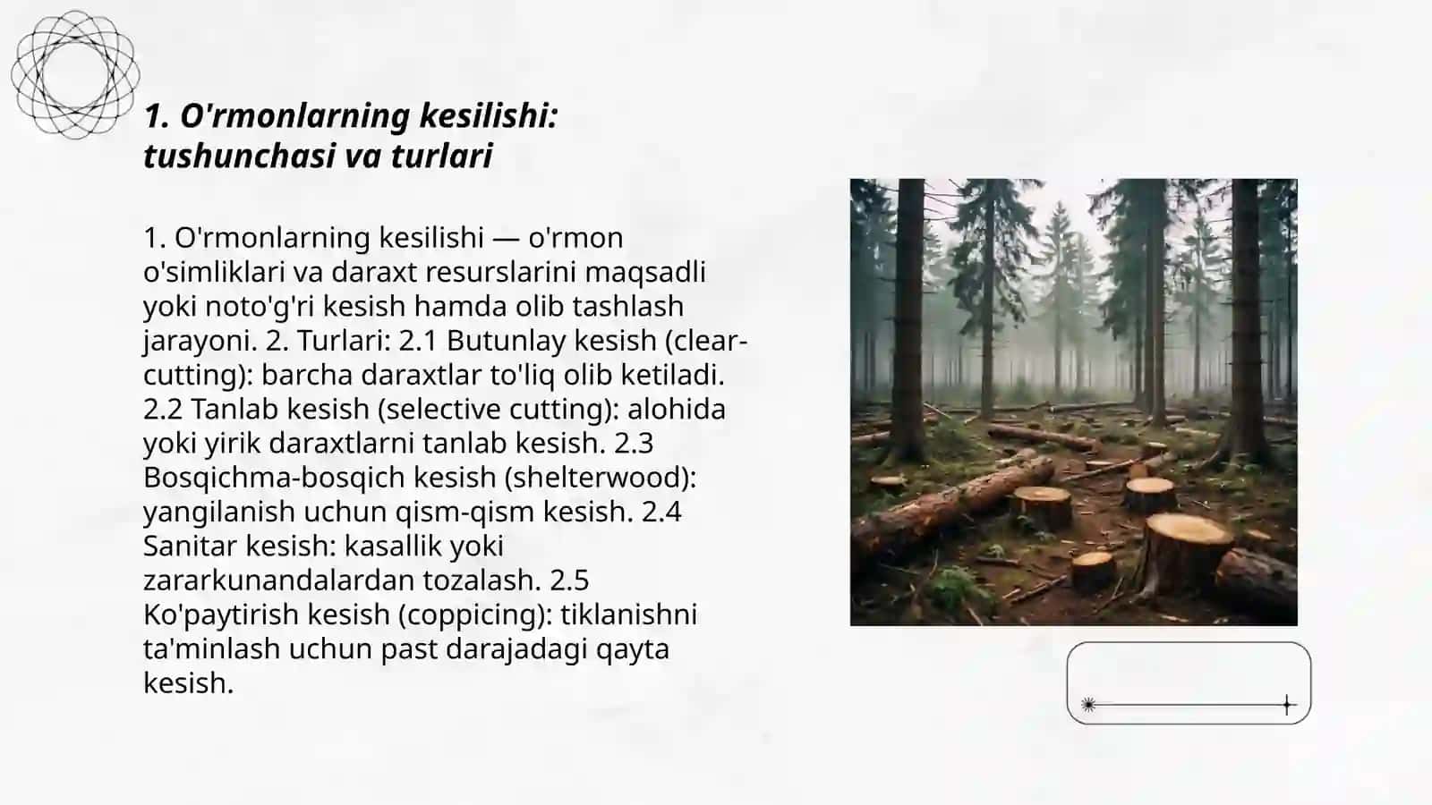 O'rmonlarning kesilishi 3