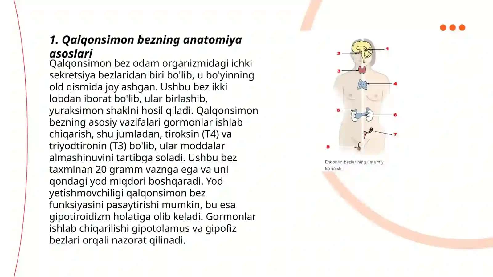 Qalqonsimon bezning anatomiya asoslari 3
