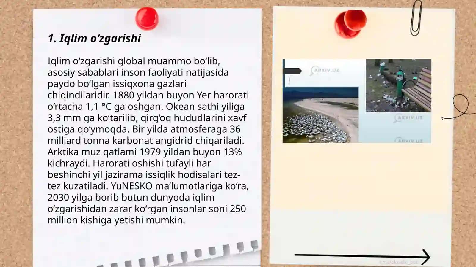 Davrimizning global muammolari 3