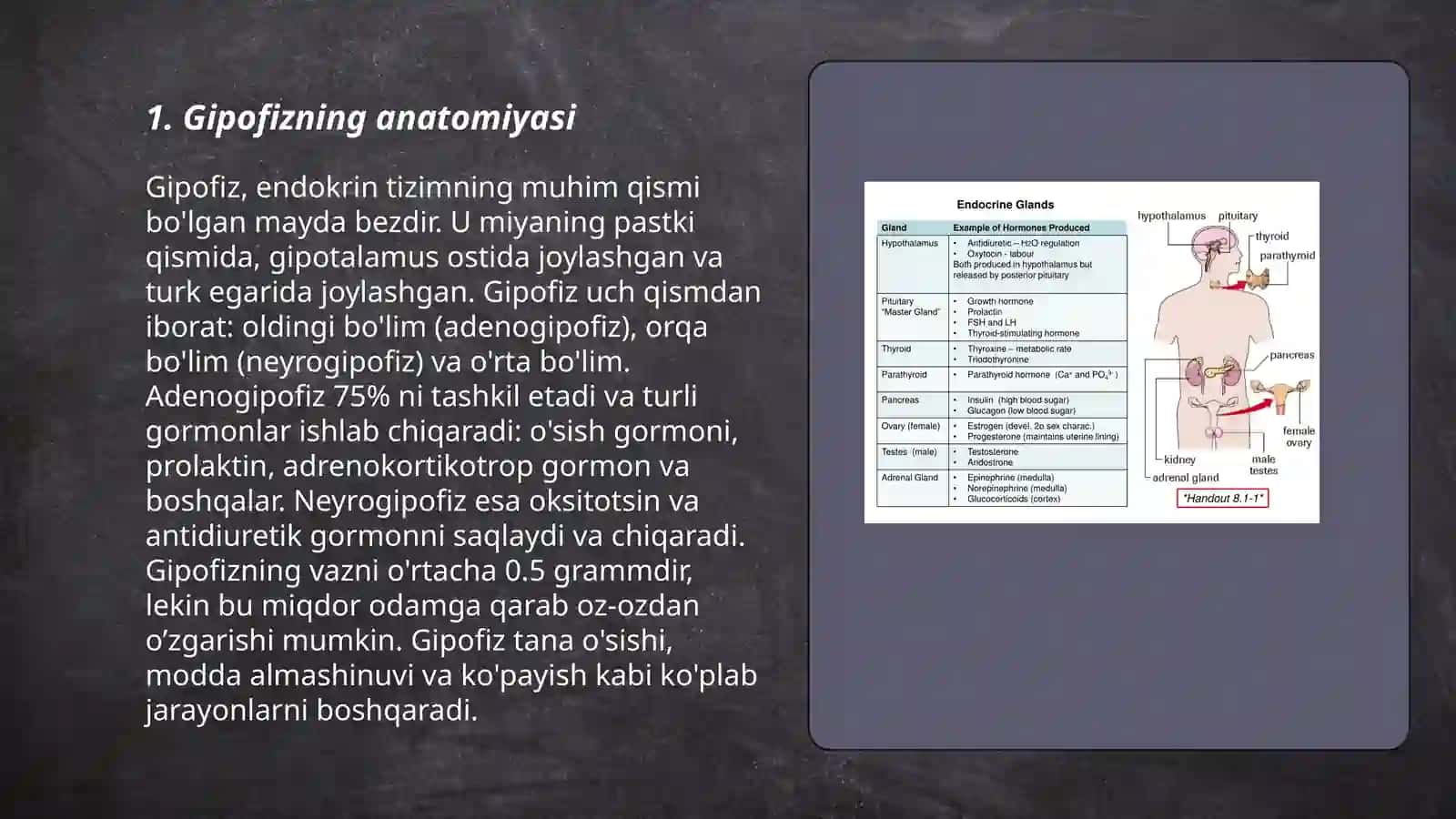 Ichki sekretsiya bezlari:gipofiz epifiz 3