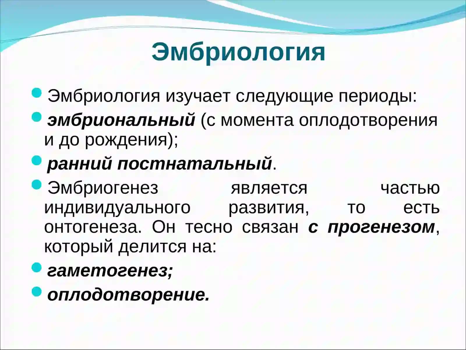 Эмбриология 3