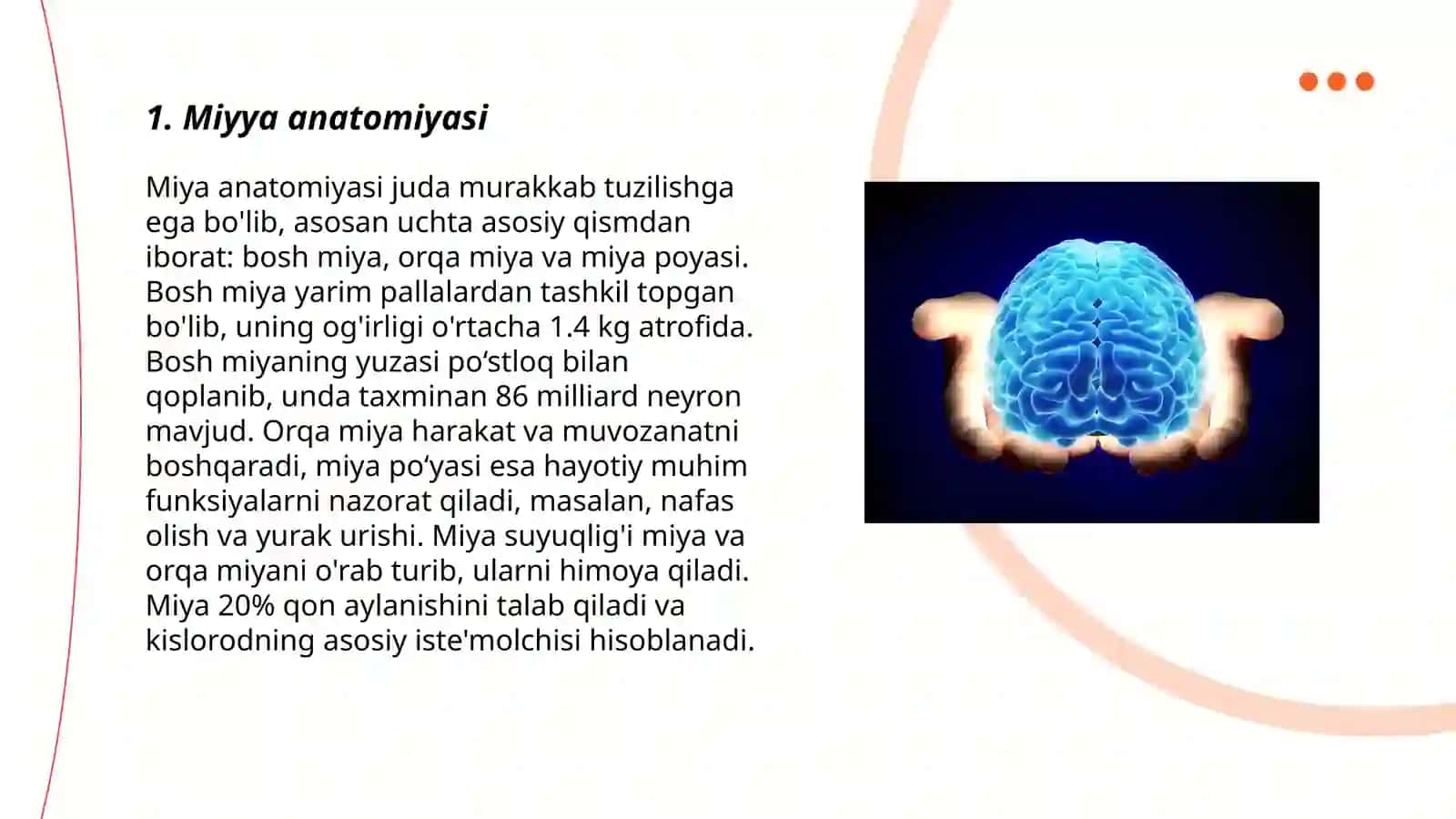 Miya anatomiyasi 3