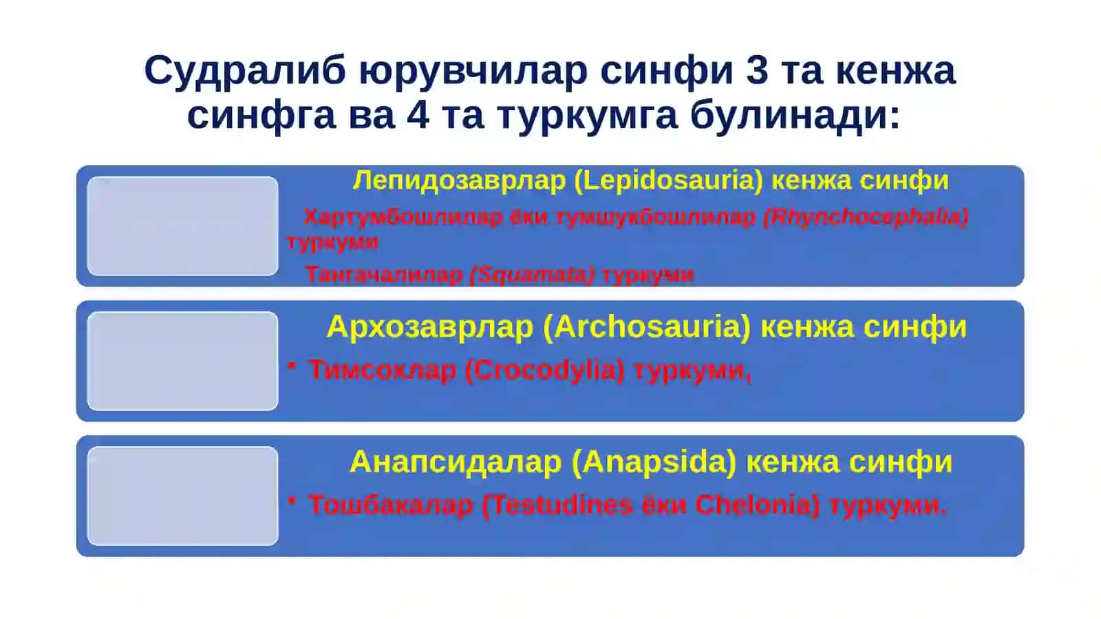 Судралибюрувчилар(Reptilia)синфинингсистематикаси 3