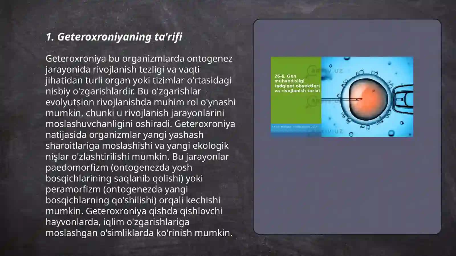 O'sish va rivojlanish geteroxroniyasi 3