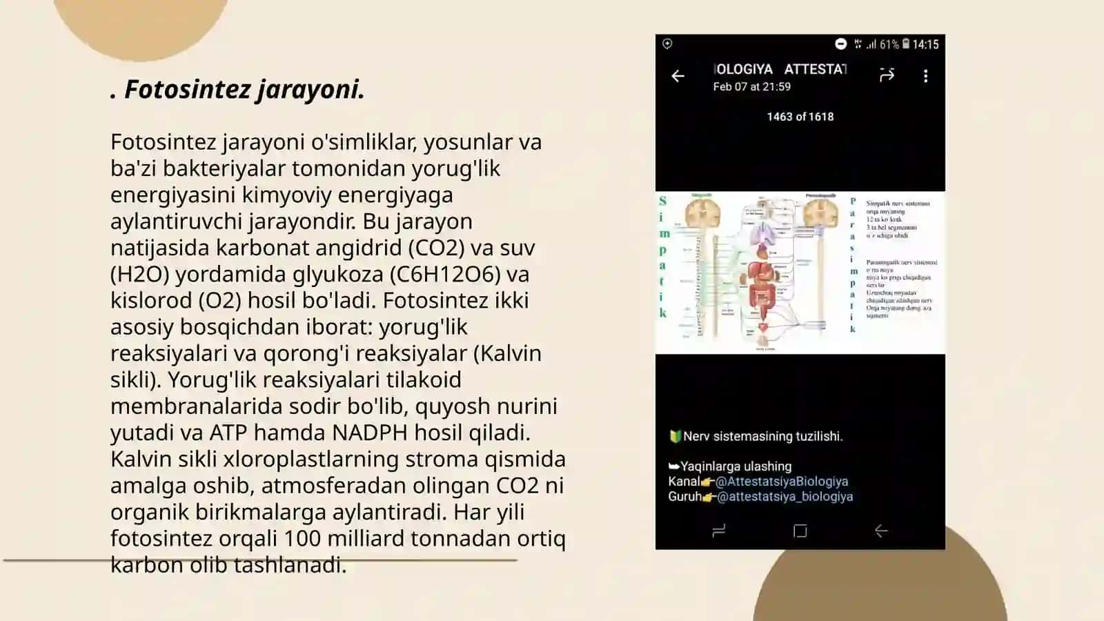 5e modelida biologiyadan taqdimot 3