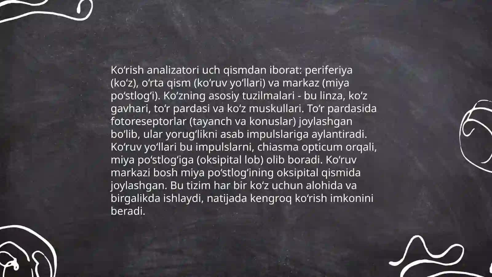 Ko‘rish analizatorlari 3