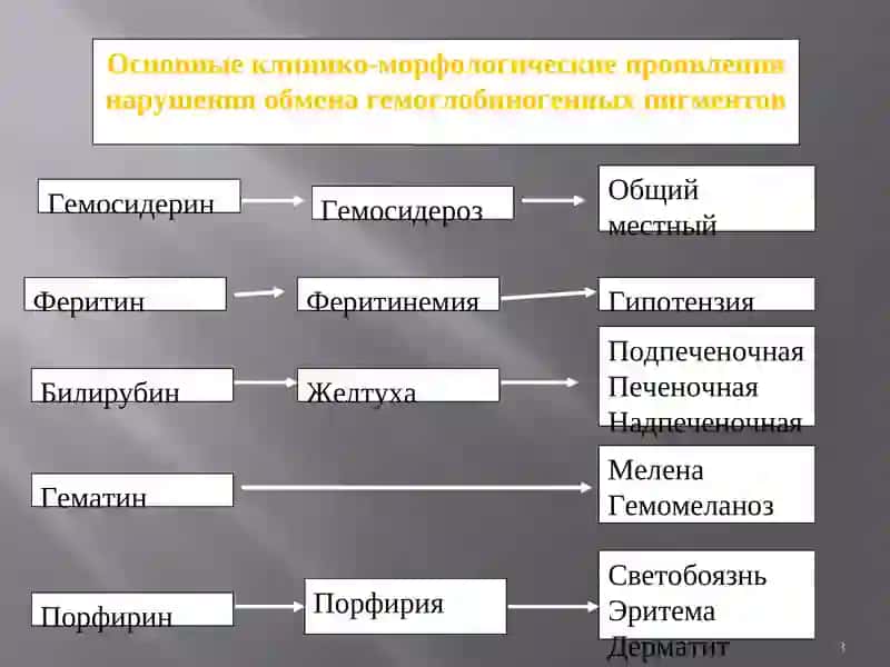 Нарушение обмена гемоглобиногенных пигментов 3