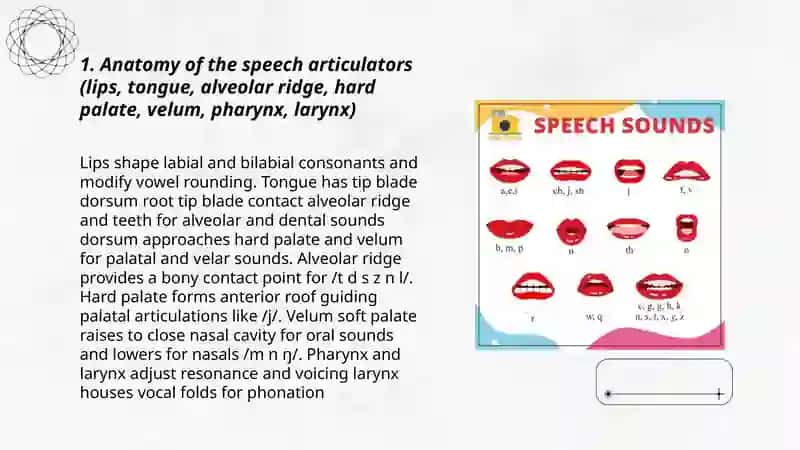 The articulatory aspects of the English Speech sounds 3