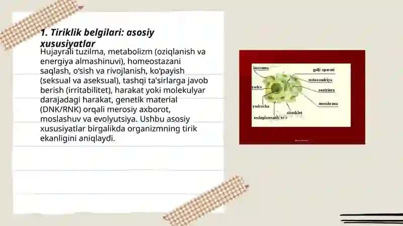 Tiriklik belgilari 3