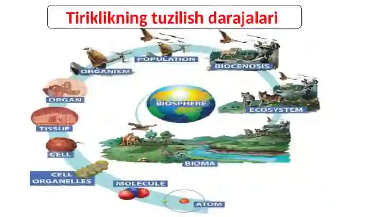 Biologiya 3