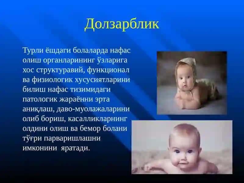 Нафас олиш тизими 3