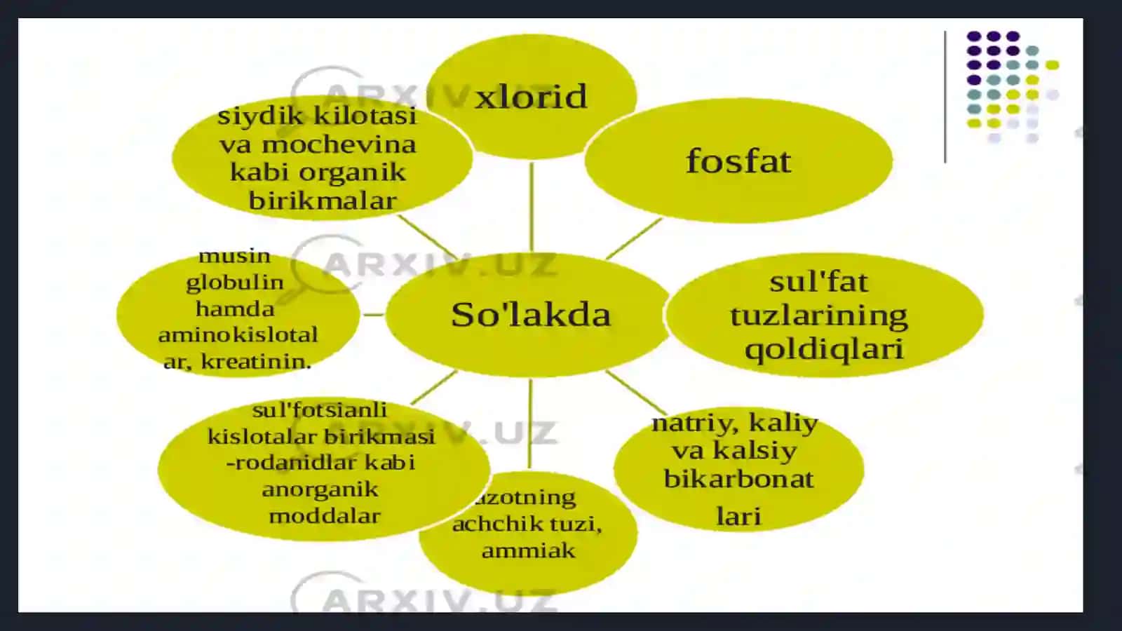 Hazm kanalıdagı shıralar 3
