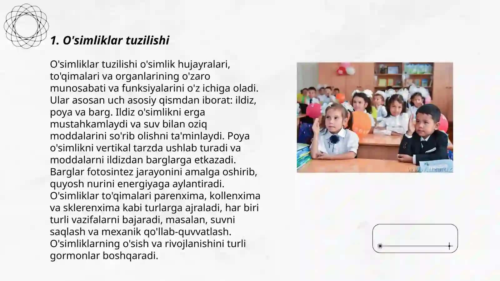 O'simliklar tuzilishi 3