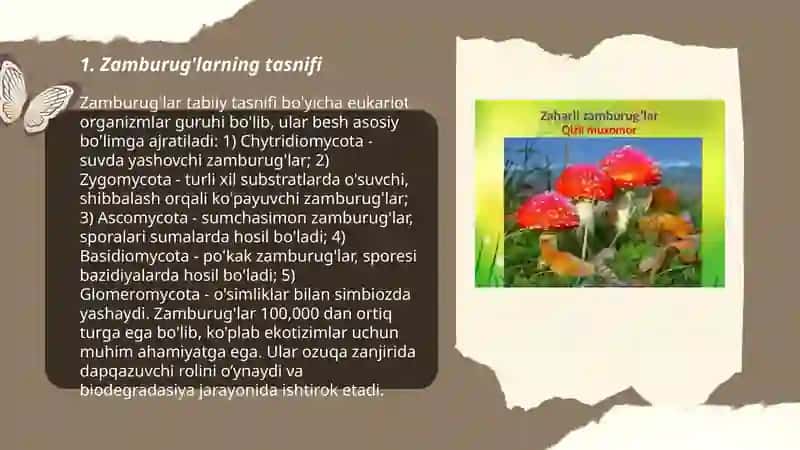 Zamburug‘lar 3