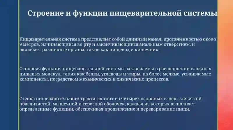 Системапищеварения 3