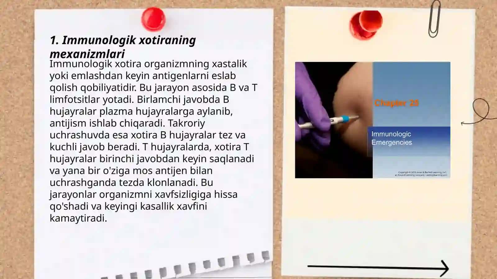 Immunologik xotira 3