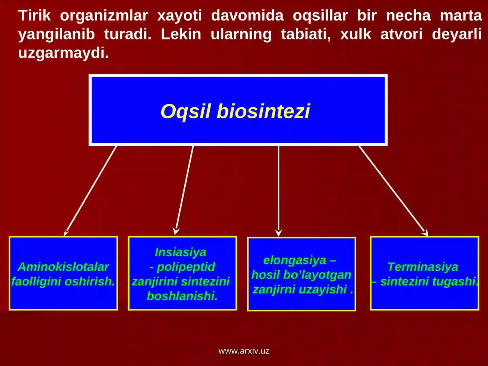 Oqsil biosintezi 3