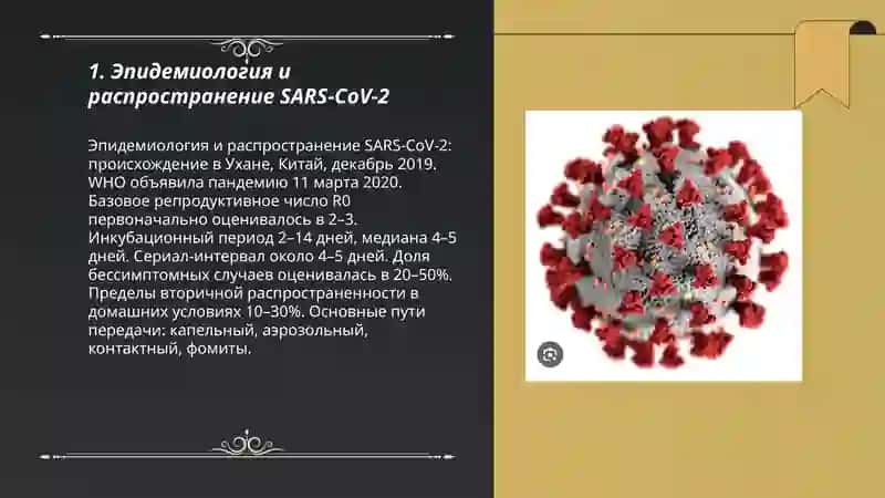 Эпидемиология и распространение SARS-CoV-2 3