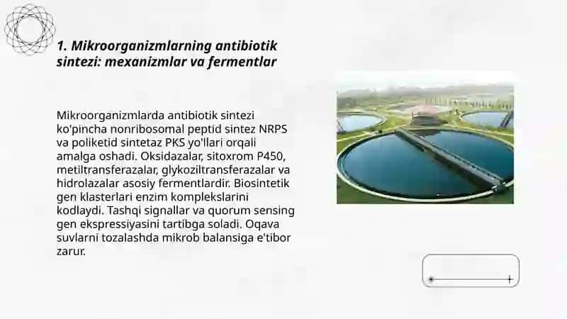 Mikroorganizmlarning antibiotik xususiyatlari 3