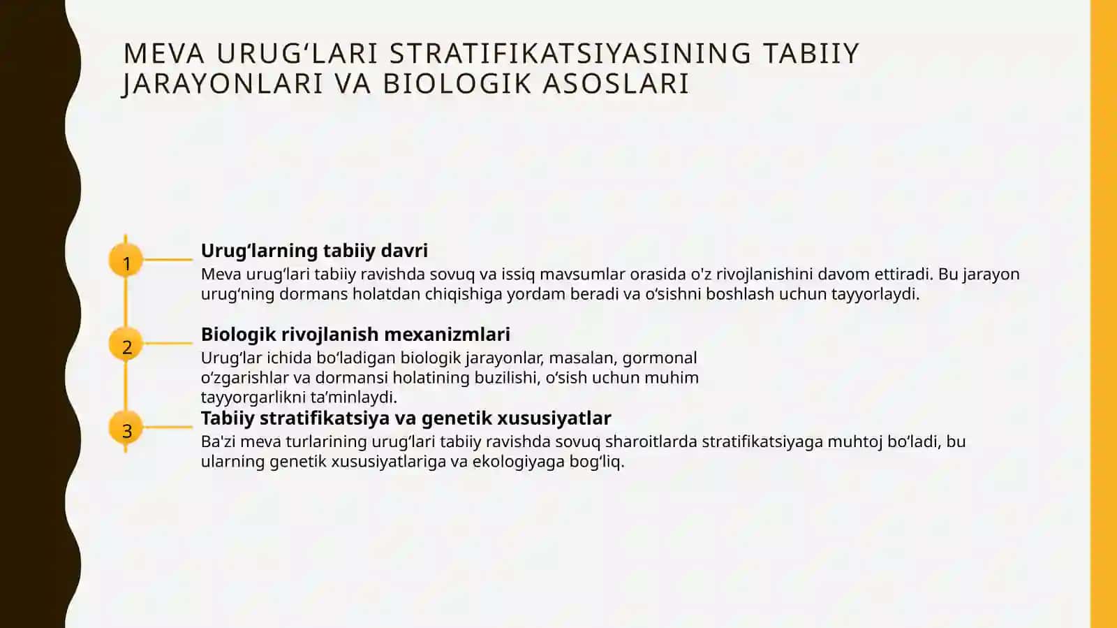 MEVA URUGʻLARI STRATIFIKATSIYASI 3