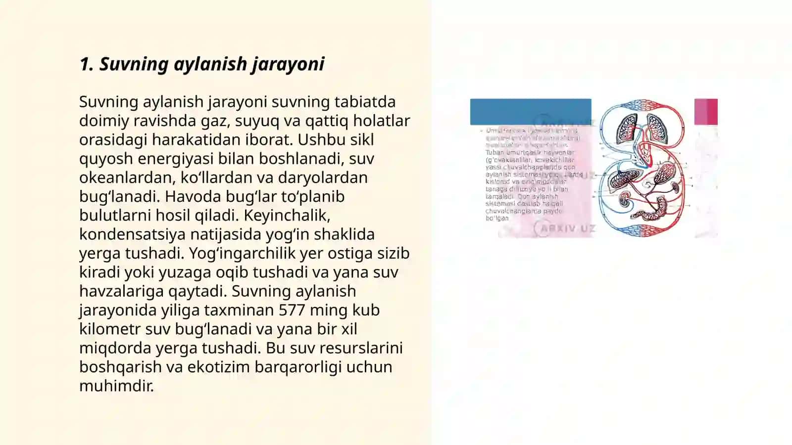 Suvning aylanishi 3