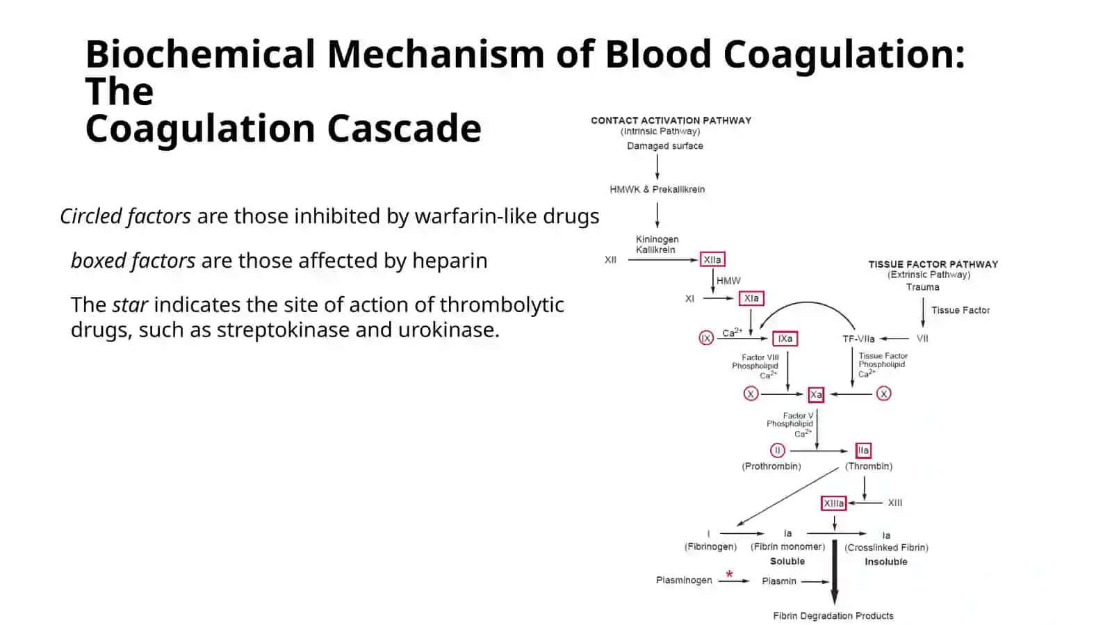 Antithrombotics, Thrombolytics, Antiplatelets, and Coagulants 3