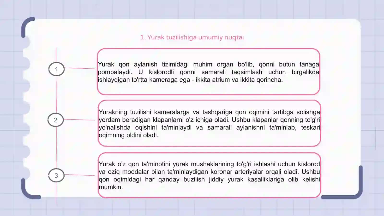 Yurak tuzilishi anatomiyasi klablari 3