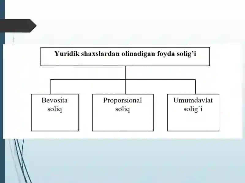 Yuridik shaxslardan olinadigan foyda solig’i 3