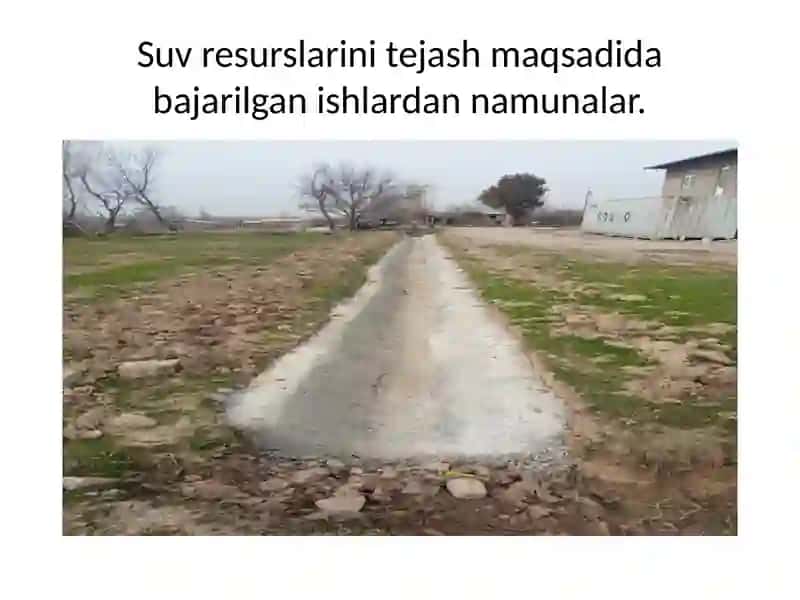 Tadbirkor Dilshodbekdalasi 3