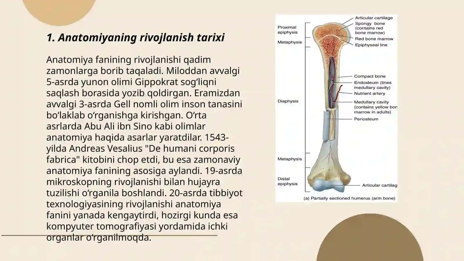 Anatomiya fanining rivojlanish tarixi Nusratova Dilorom 3