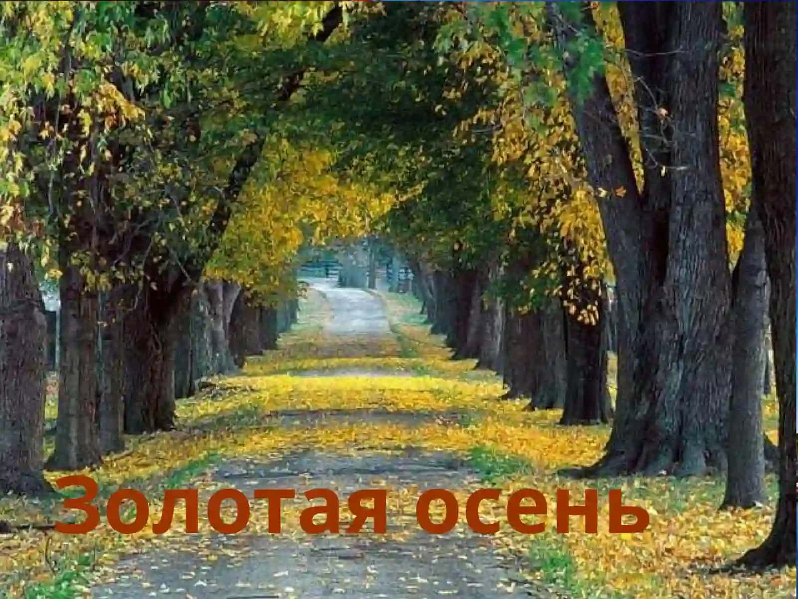 Презентация на тему«Транспорт» для 4- х классов 3
