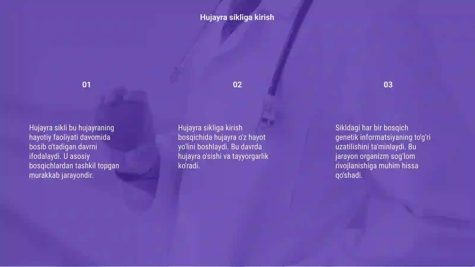 Hujayra sikli 3