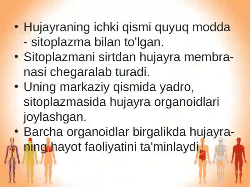Odam organizmining hujayraviy tuzilishi 3