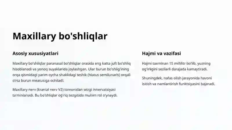 Bosh suyagining paranasal bo'shliqlari anatomiyasi 3