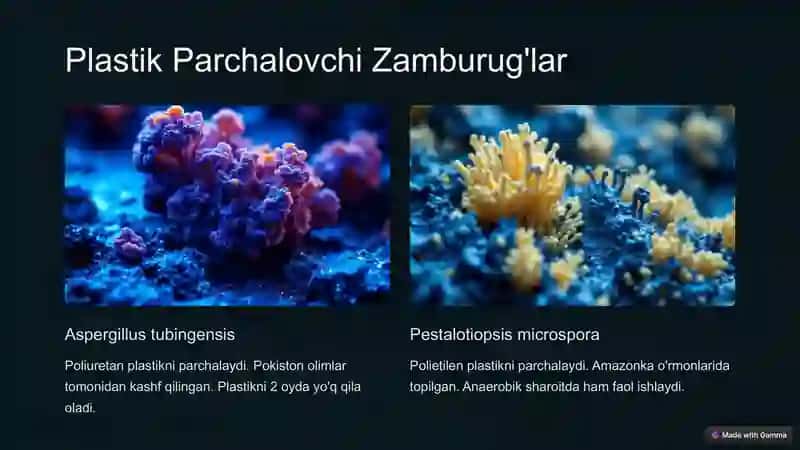 Plastik Chiqindilarni Yemiruvchi Mikroorganizmlar 3