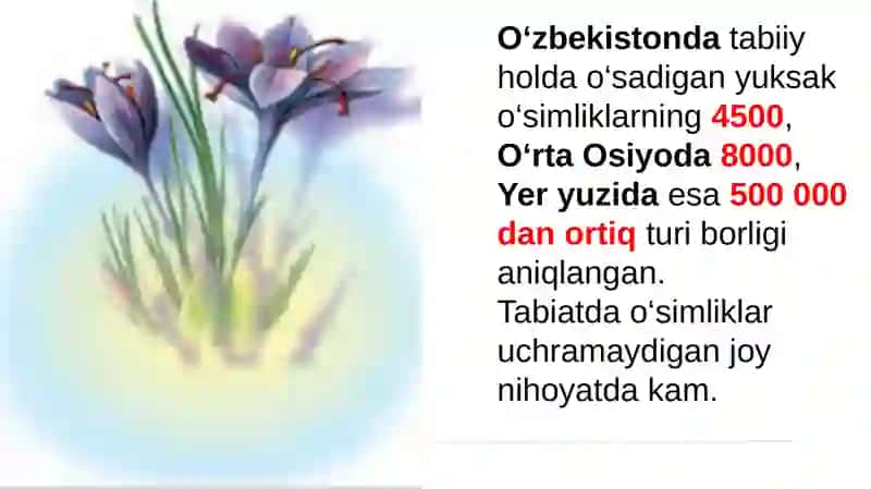 O`simliklarning tuzilishi va funksiyasi 3