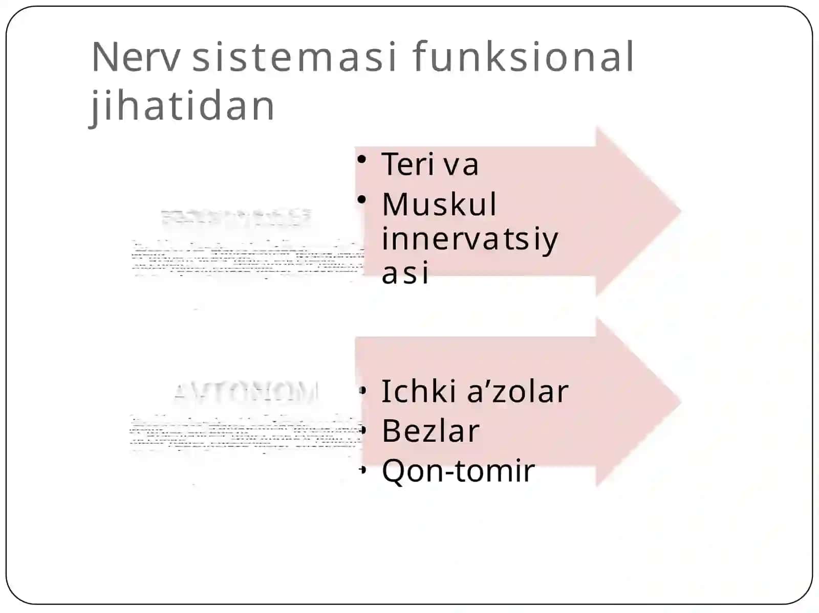 Orqamiya anatomiyasi 3