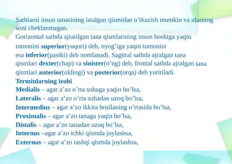 ANOTOMIK IBORALARNI TARJIMASI 3