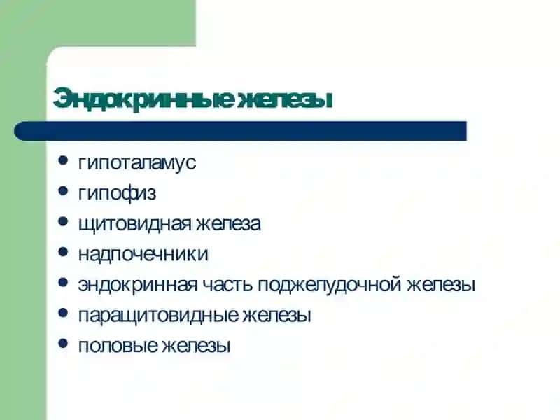 Патофизиология эндокринной системы 3